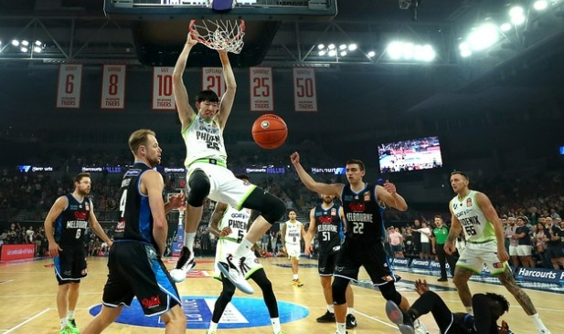  艾顿20篮板统治攻防，开拓者不敌太阳  